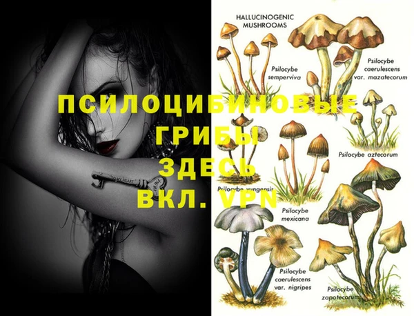 бошки Балахна