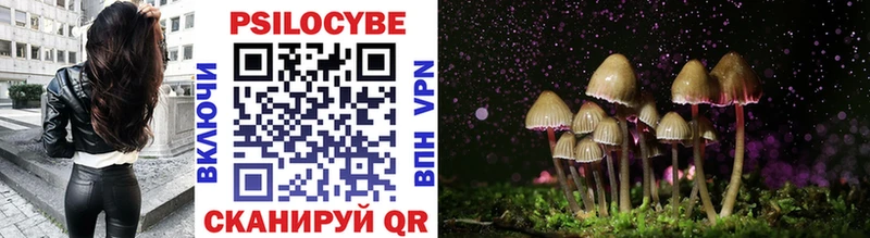 дарк нет какой сайт  Курлово  Галлюциногенные грибы MAGIC MUSHROOMS  мега как зайти 
